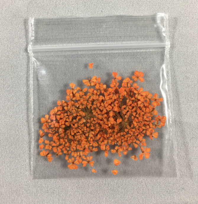 Small Dry Flowers Bag