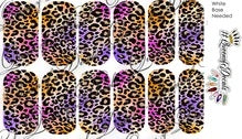 Multi Coloured Animal print