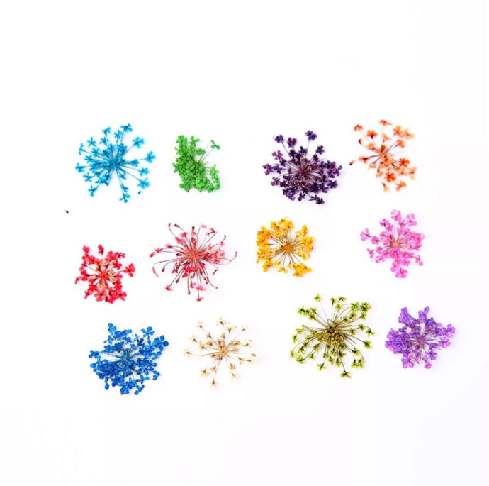 Small Dry Flowers Box